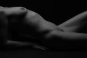 copyright by Photographie Patrick Le Barreau